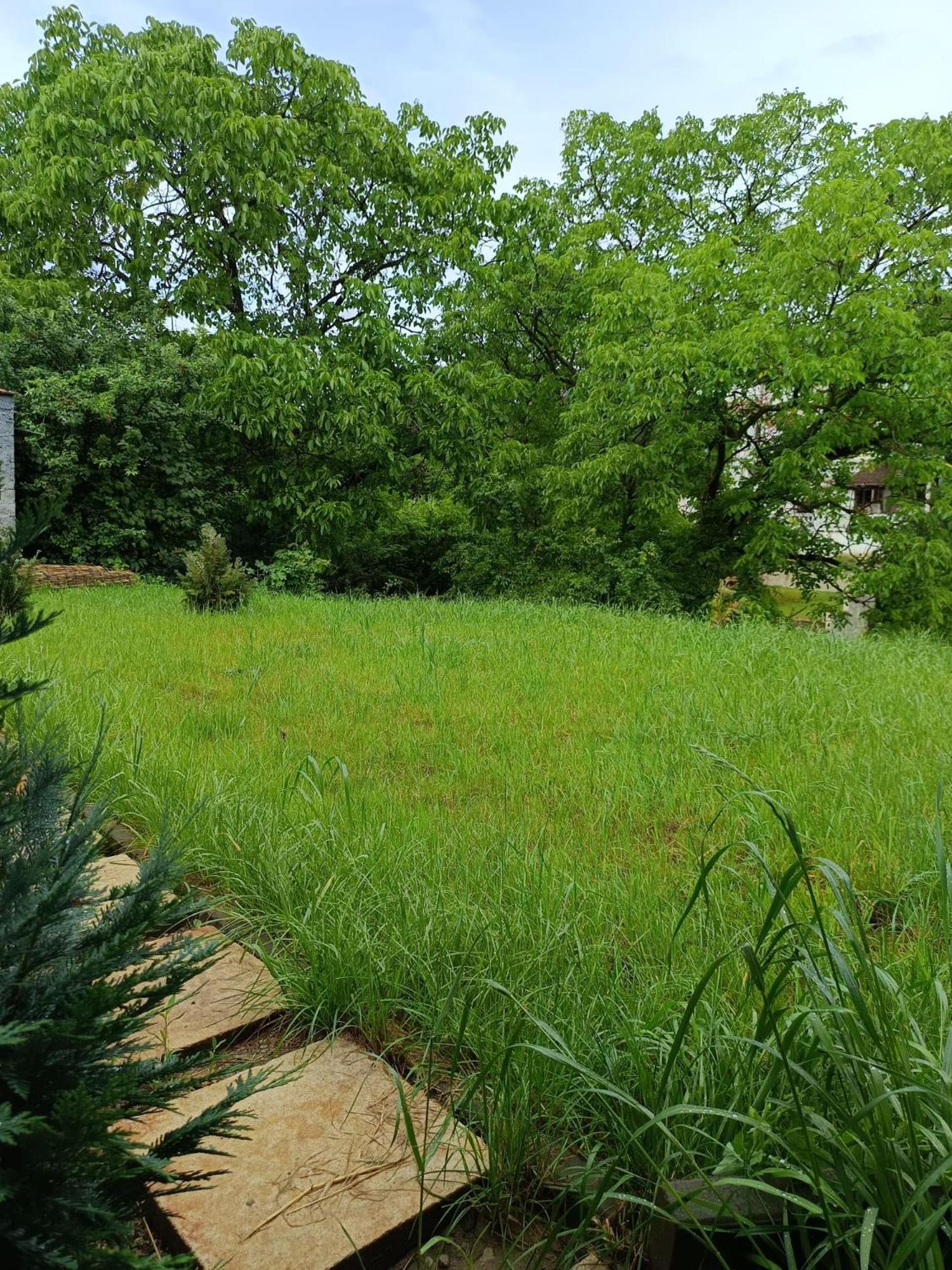 Lala Home 오라데아 외부 사진